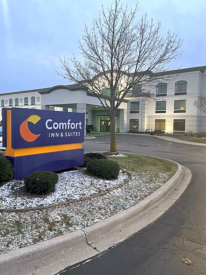 Comfort Inn & Suites Grand Blanc/Flint