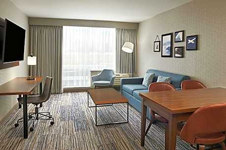 1 Bedroom Suite, 2 Queen, Alternate: Sofa Bed, Sofa Bed
