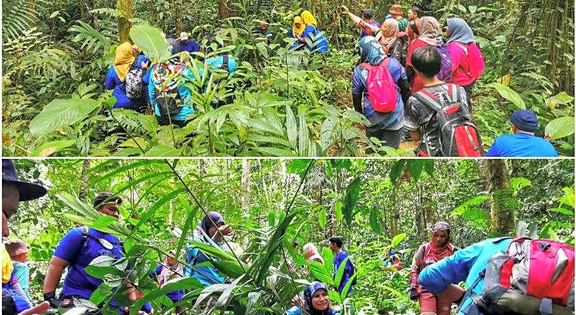 The Cocoon Capsule Hotel