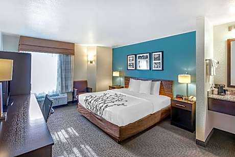 1 King Bed, Nonsmoking