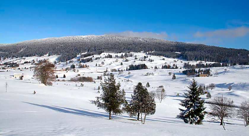 Au Coeur du Lapidaire