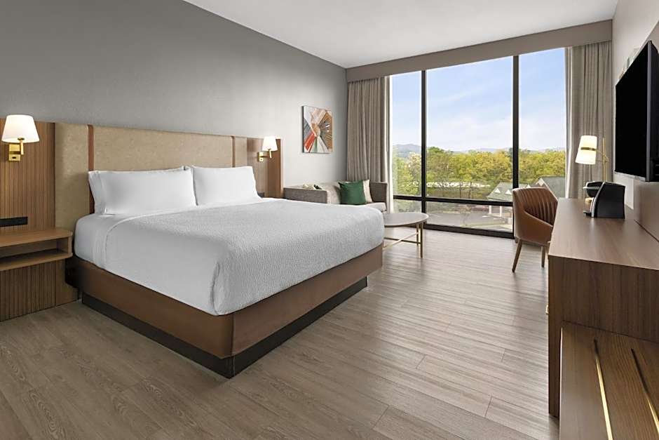 Holiday Inn Roanoke-Tanglewood-Rt 419&I581 by IHG