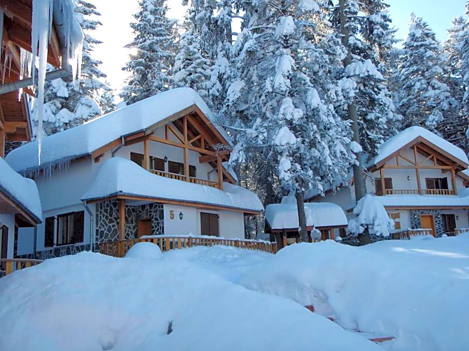 Saint George Holiday Village