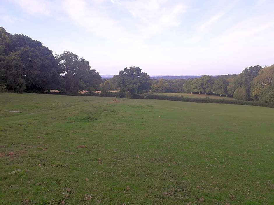Moaps Farm B&B support small business, welcome, check in from 5 pm