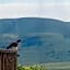 Acra-Retreat Mountain View Lodge
