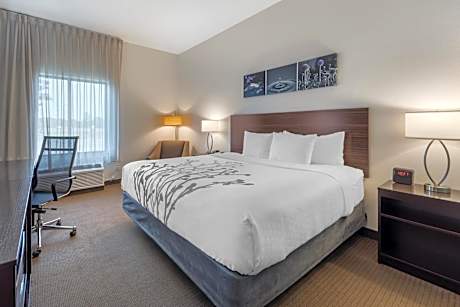 King Room - Accessible/Non-Smoking