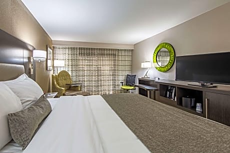 King Room with Bathtub and Sofa Bed - Disability Access/Non-Smoking