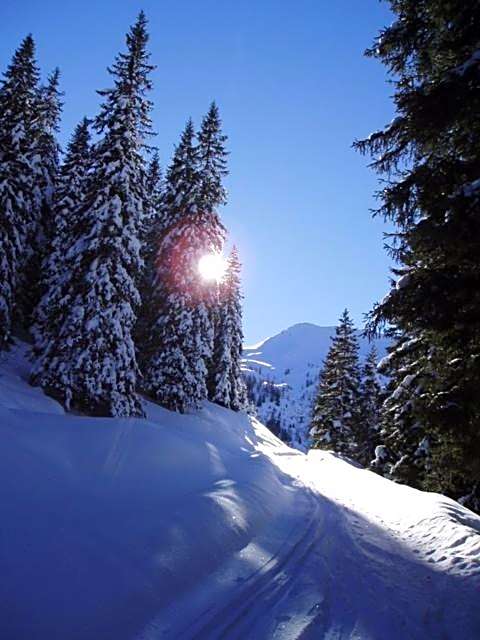 Berggasthof-Ferienbauernhof Habersatt