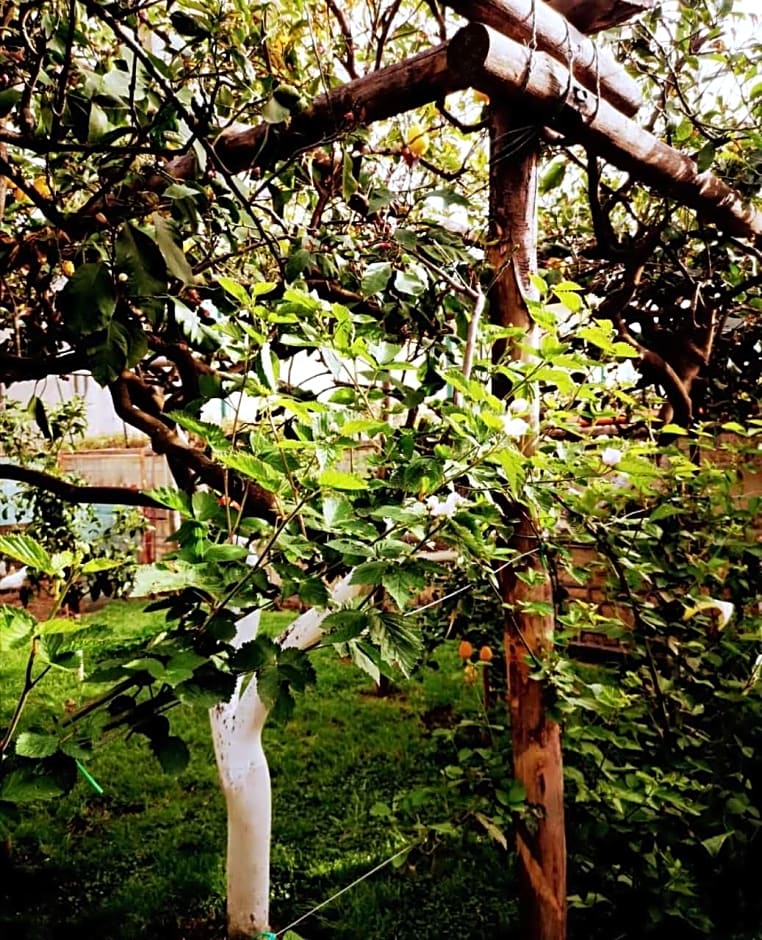 Tettoeletto Garden Bio