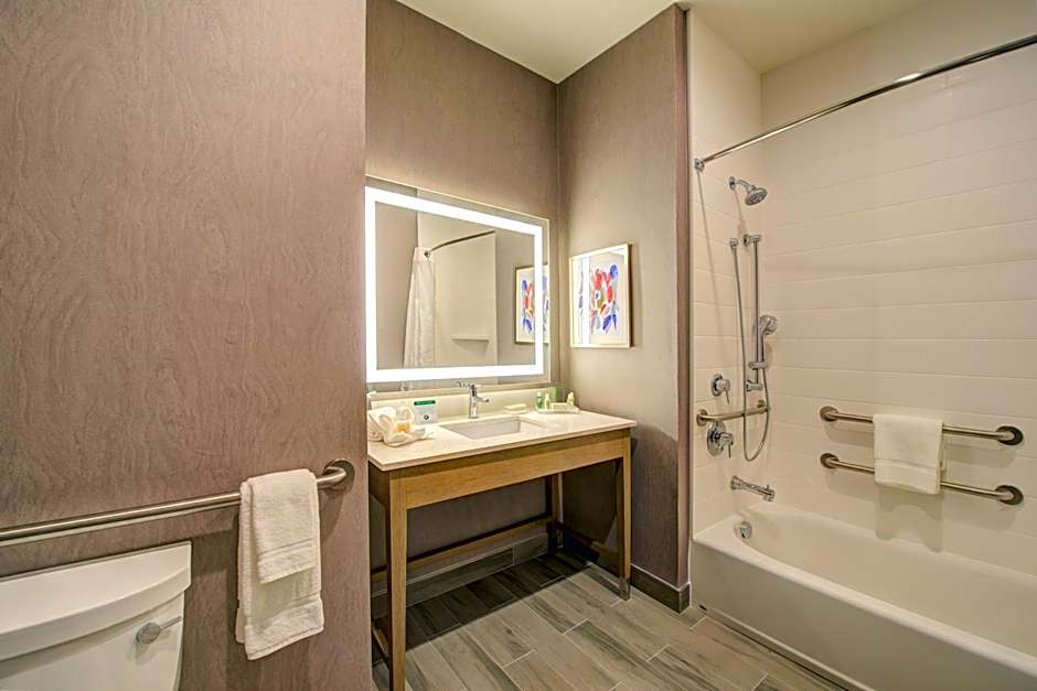 Holiday Inn Hotel & Suites Houston West - Katy Mills By IHG