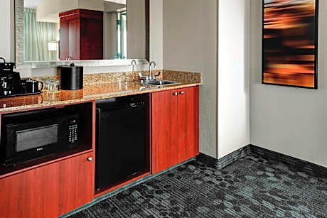 One-Bedroom King Suite with Balcony and Sofa Bed - Hearing Accessible
