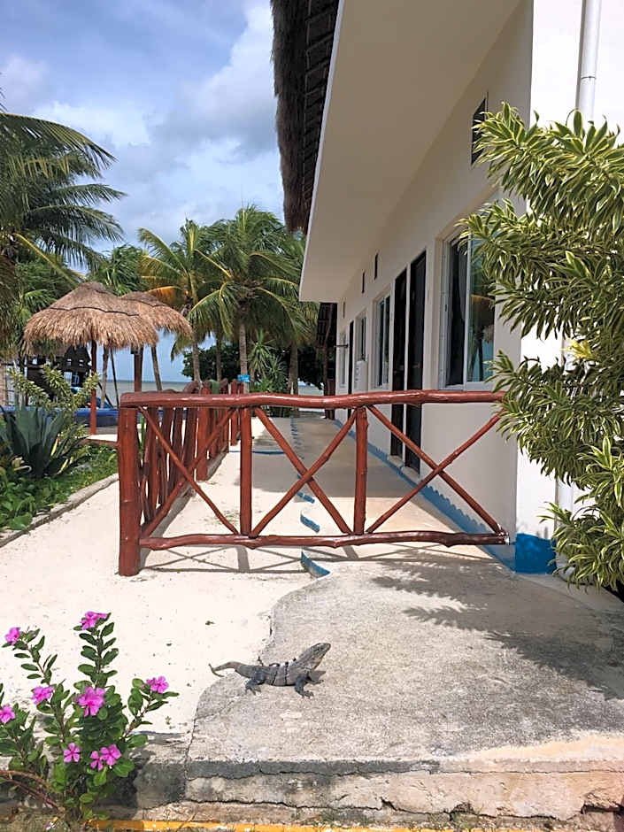 Ikarus Costa Mujeres Eco Lodge Sunset View