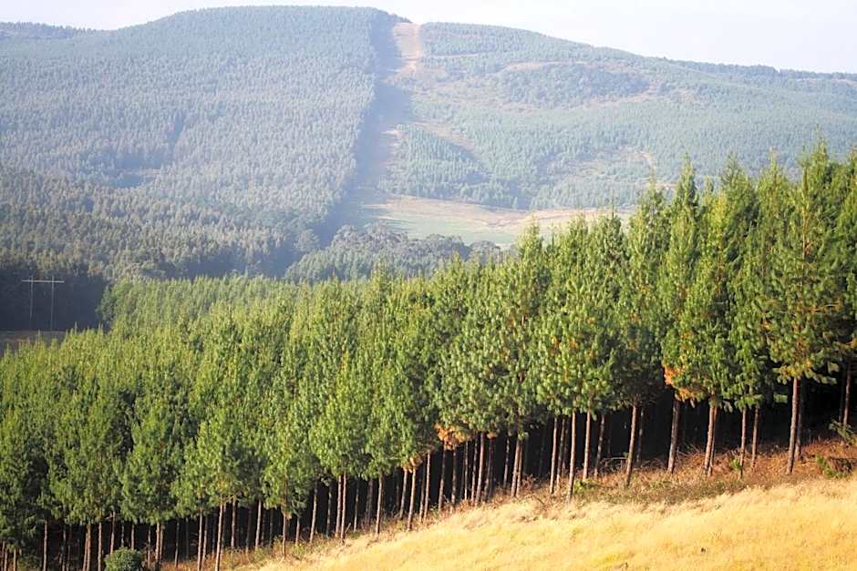 Curry's Post Bed & Breakfast