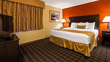 1 King Bed Suite