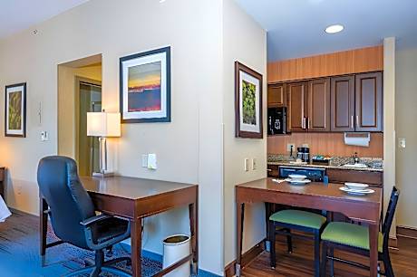 1 King Bed Studio Suite Nonsmoking