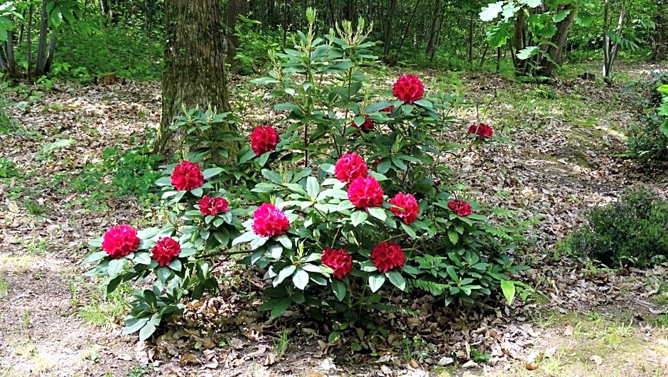 Chambres de Monthéard