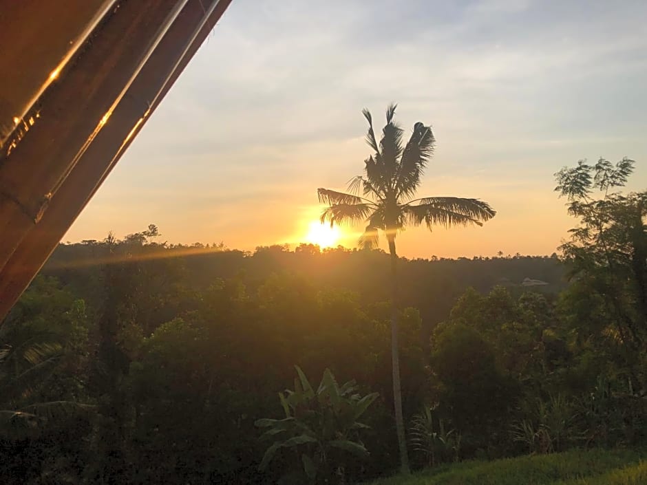 Padi Bali Jatiluwih