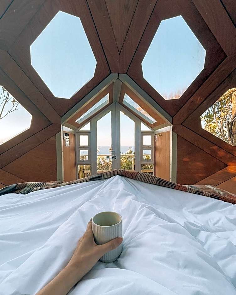 The Hive - Jungle at Misty Mountain Reserve