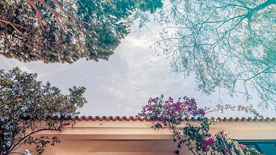 Pine House - Faro Airport, Beach and City Center