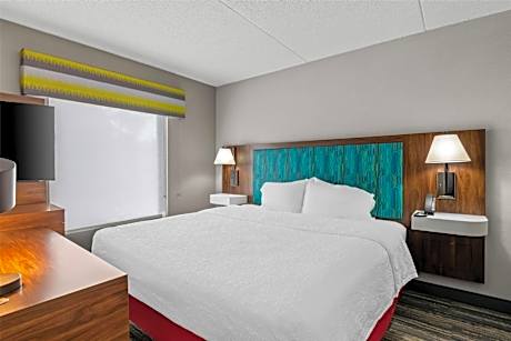 1 King Bed Studio Suite W/ Sofabed Nonsmoking