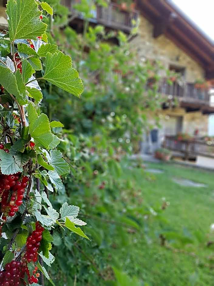Agriturismo La Clochette