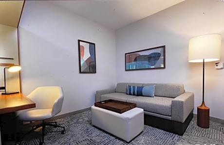 King Studio with Sofa Bed