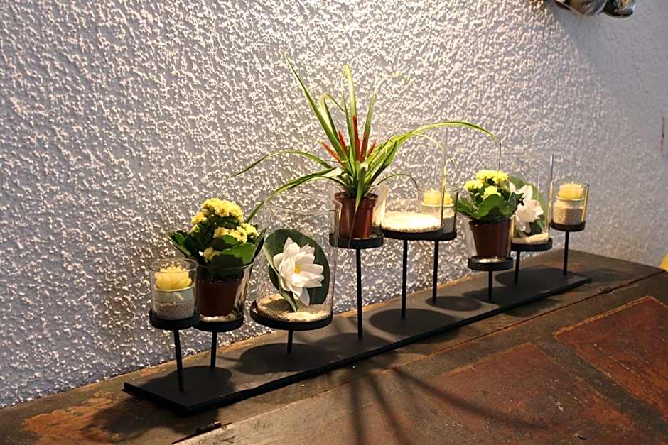 Appartements Lenzenhof