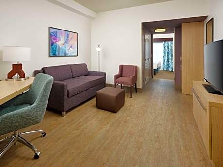 1 King Bed Junior Suite With Sofabed