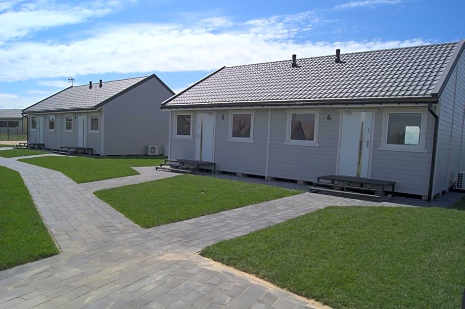 Szara Gąska w Gąskach