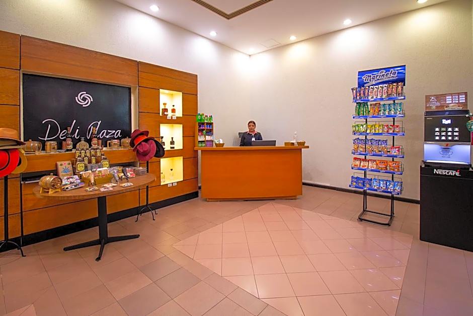 Hotel Guadalajara Plaza Expo