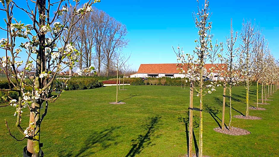 B&B 't Meesterhof