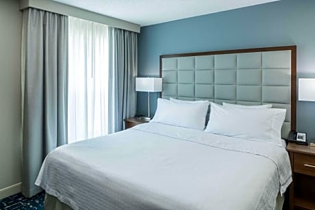 1 King Bed 1 Bedroom Suite Nonsmoking