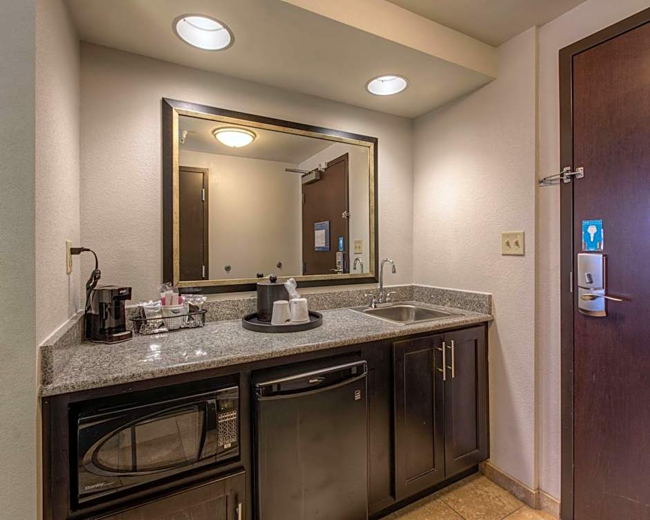 Hampton Inn By Hilton And Suites Detroit/Airport-Romulus