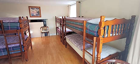 Single Bed in Mixed Dormitory Room