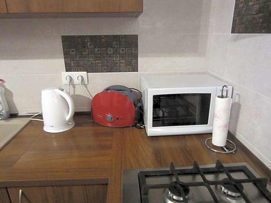 Willa M cisza w centrum miasta