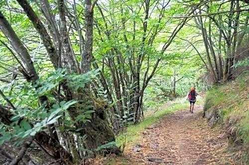 Hotel Nueva Allandesa