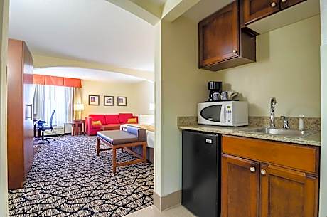 1 King Bed, Efficiency, Suite, Nonsmoking