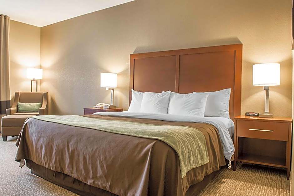 Comfort Inn Edinburg South