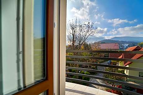 Studio with Mountain View