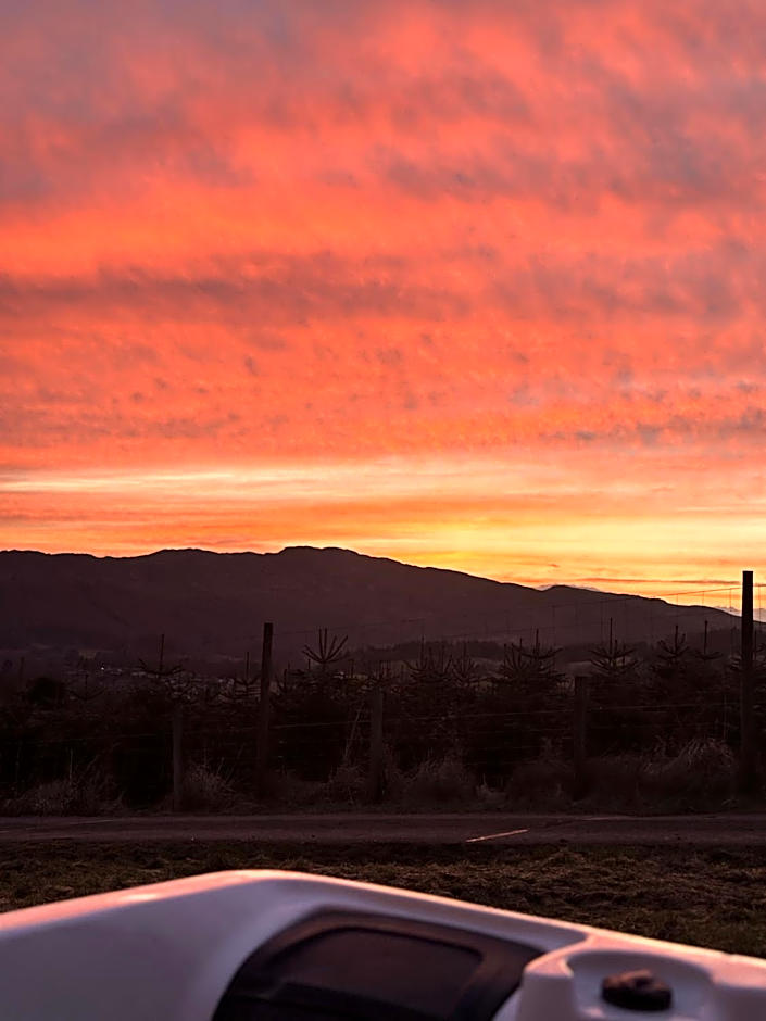 Kinnaird Woodland Lodges