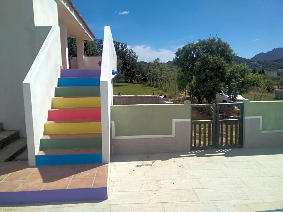 B&B Daillu
