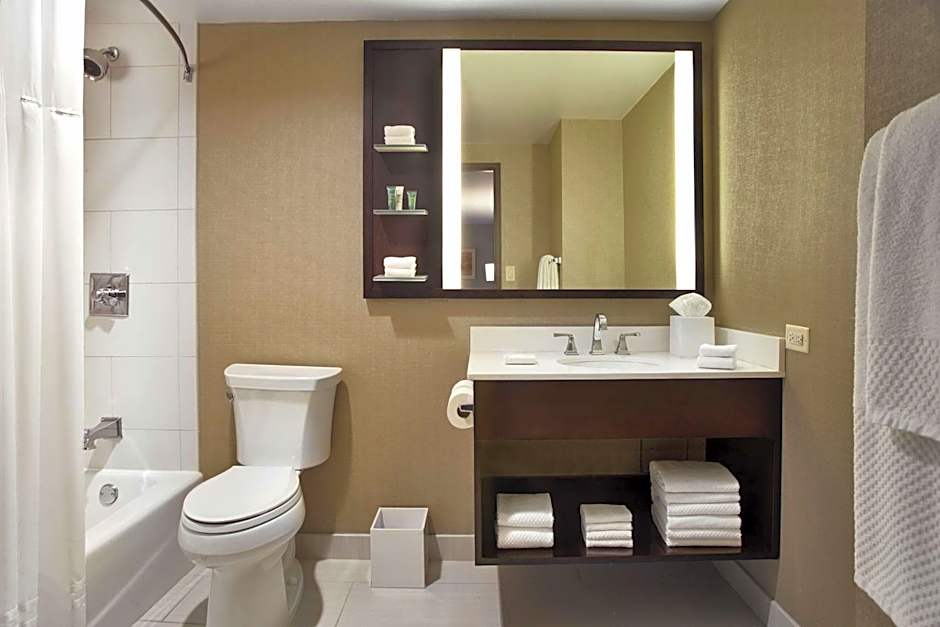 Hilton Chicago