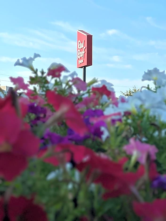Red Roof Inn Panama City
