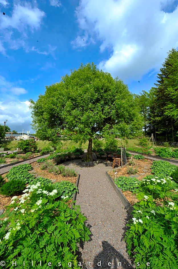 Hillesgården