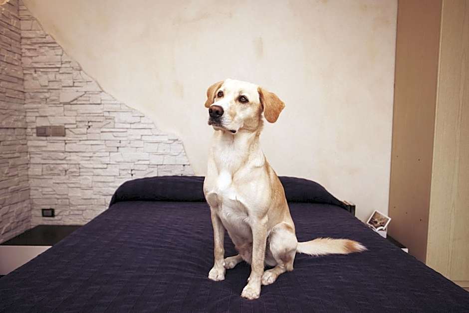 Residence Conchiglia Aparthotel