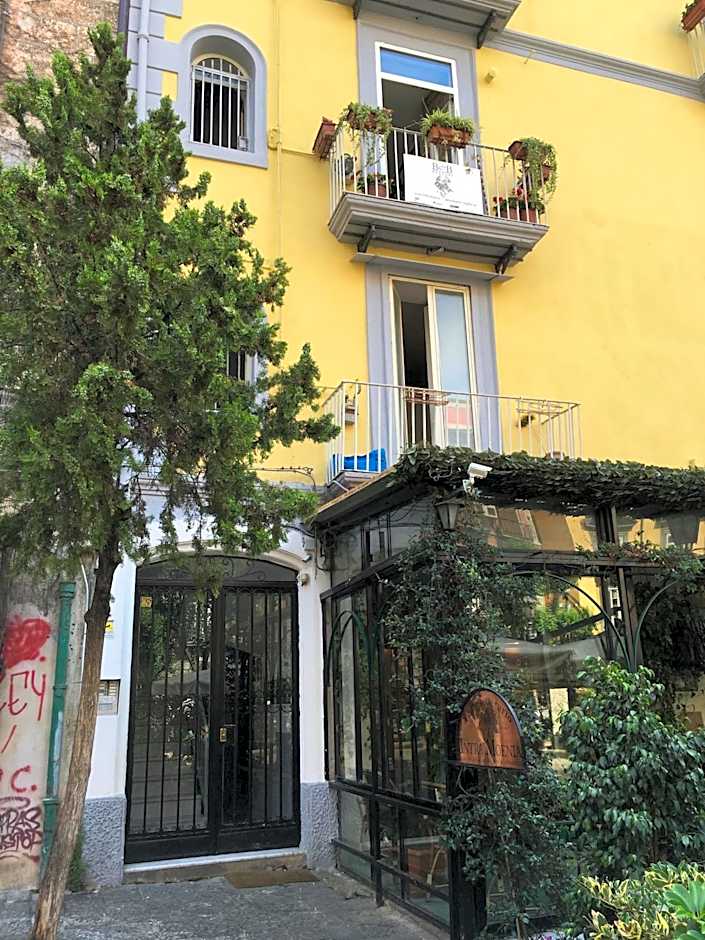 B&B Bellini