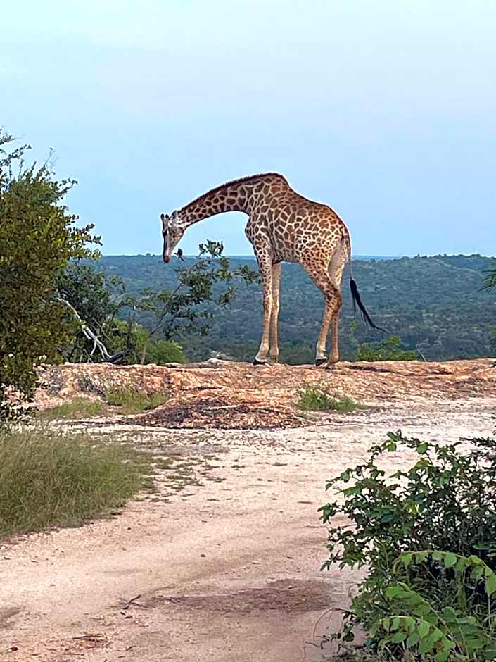 Sangasava Safari Lodge