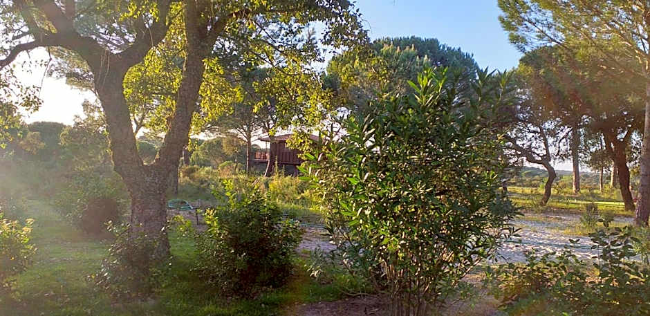 Ying Yang Monte da Lua