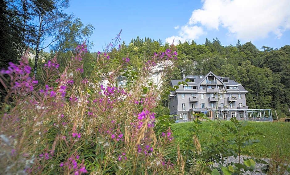 Apart Hotel Wetterhorn