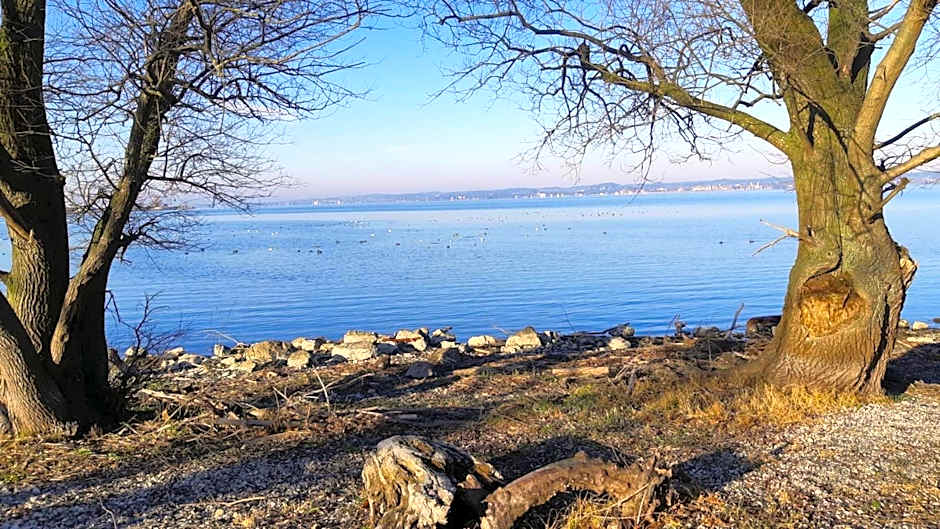 Hotel am See